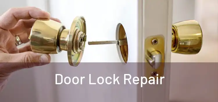 Door Lock Repair