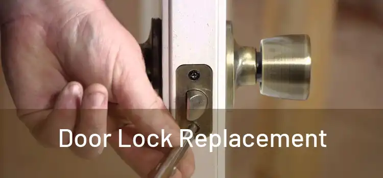  Door Lock Replacement 