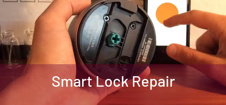 Smart Lock Repair